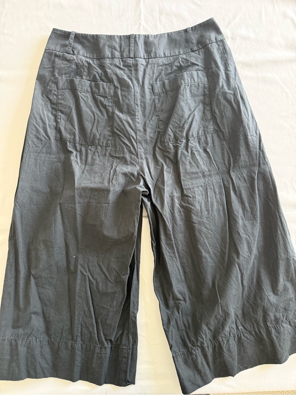 Anthropologie Black High-Waist Wide-Leg cropped Pants - Picture 9 of 10